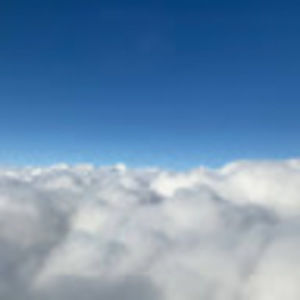 Meet your Posher, Cheyenne